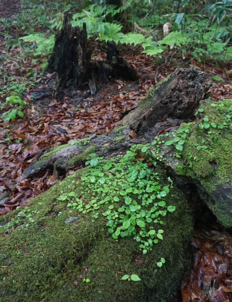 image03